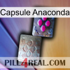 Anaconda Capsule 38